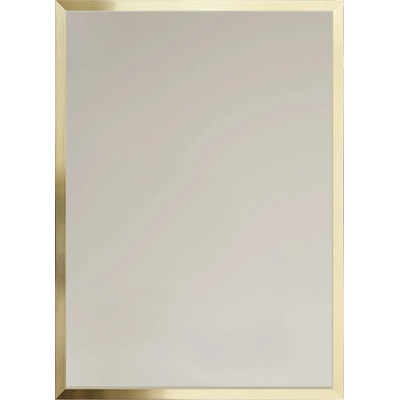 Ars Longa Linea 53x43 cm zlatá LINEA4050-ZS
