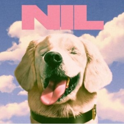 DIRTY NIL - Fuck Art CD