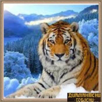 Image 1 of Рамка за гоблен по поръчка 73519