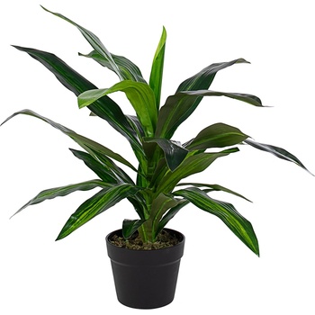 Bizzotto ИЗКУСТВЕНО РАСТЕНИЕ dracena 65cm ЗЕЛЕНО (0172728)