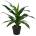Bizzotto ИЗКУСТВЕНО РАСТЕНИЕ dracena 65cm ЗЕЛЕНО (0172728)