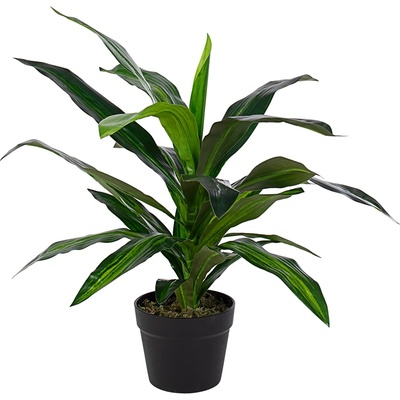 Bizzotto ИЗКУСТВЕНО РАСТЕНИЕ dracena 65cm ЗЕЛЕНО (0172728)