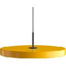 UMAGE Asteria 2175C4173