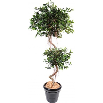 Luxusní umělý strom Ficus Spiral 2 Balls, 185cm