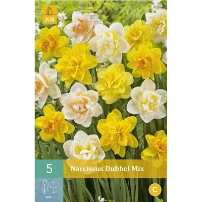 Jub Narcis Double Mix "C" 5 ks
