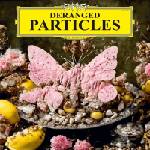 Felix Henkelhausen - Deranged Particles (LP) (4260437160586)