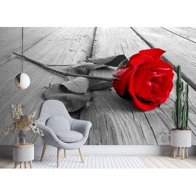 Gario Fototapeta Červená ruža Materiál: Vliesová, rozmery 200 x 140 cm