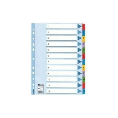 Esselte Registre Mylar A4 1-12 1 ks