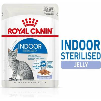 ROYAL CANIN INDOOR Sterilised v želé 48 × 85 g