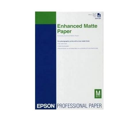 Epson C13S041718