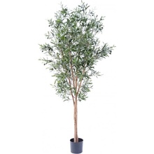 Umelý strom Olivovník prírodné kmene, 180cm
