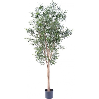 Umelý strom Olivovník prírodné kmene, 180cm