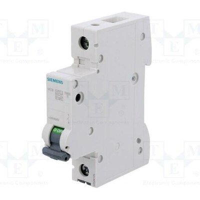 Siemens 8A 5SL4108-6