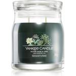 Yankee Candle Silver Sage and Pine 368 g