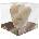 Epee 3D Marvel Groot 400 ml