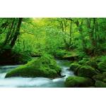 DIMEX ART Флизелинов фототапет японски поток 375 x 250 см