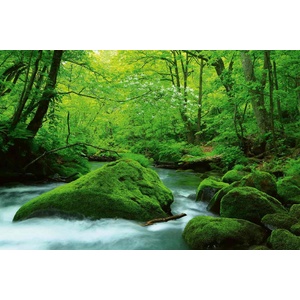 DIMEX ART Флизелинов фототапет японски поток 375 x 250 см