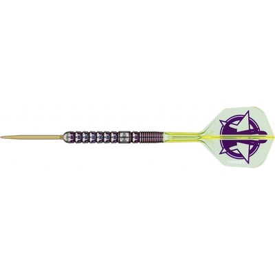 Target steel SP Luke Littler World Champion 2025 23g