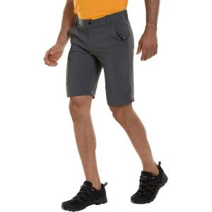 BERGHAUS Къси панталони navigator 2.0 (422174cz8)