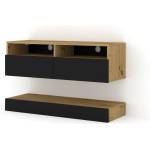 BIM Furniture ТВ шкаф duo 100, дъб артисан/черен мат (tvst100plateichebm)
