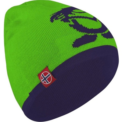 Zimní čepice TROLLKIDS Troll Beanie Navy/bright green