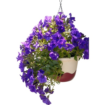 Plastia Květináč Mareta 25 cm slonová kost + vínový