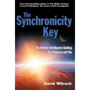 Synchronicity Key | David Wilcock (2014)