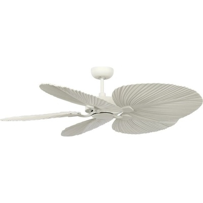 Lucci Air 21065449