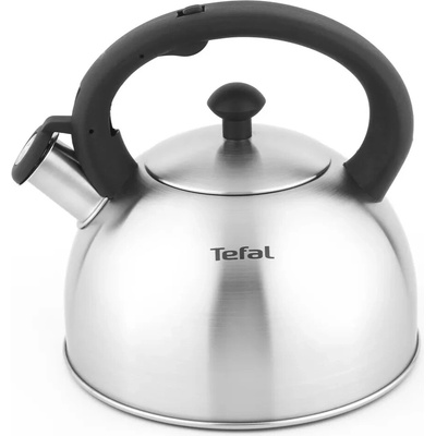 Tefal Stainless steel kettle 2,5 L