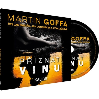 Přiznat vinu - Goffa Martin