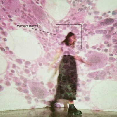 Soccer Mommy - Sometimes, Forever (LP) (0888072421509)