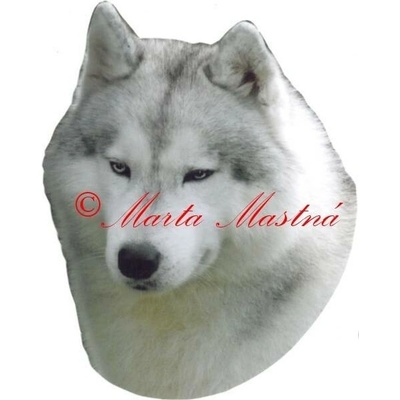 Samolepka husky - archiv 489