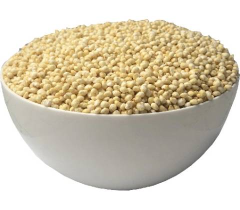 Perro Proso 5 kg