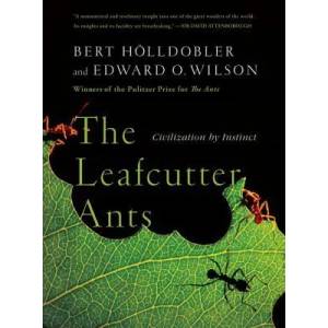 Leafcutter Ants | Bert Holldobler (ISBN: 9780393338683)