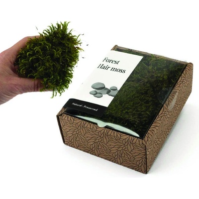 KreaBox - Vlasový mach - Hair moss