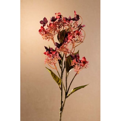 Paramit DRY WILD HYDRANGEA Aranžovací květina červená 62 cm
