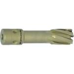 Karnasch Боркорона Ø 22x55, TCT Fein Quick-In Hard-Line55 (1703)
