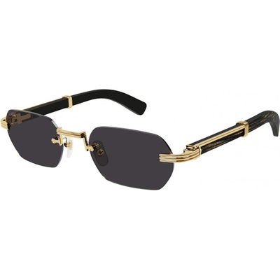 Cartier CT0362S 001