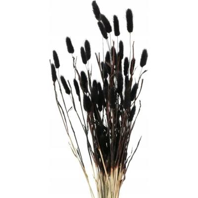 Boltze Home Dekorační sušené proutí, 70 cm