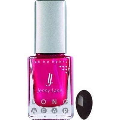 Jenny Lane lak na nehty s dlouhotrvajícím efektem Long Wear Černý matový 14 ml