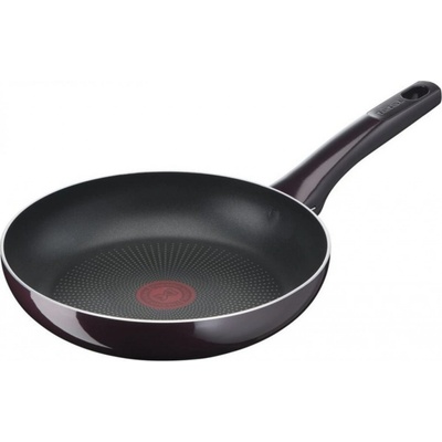 Tefal Resist Intense D5220483 24 cm
