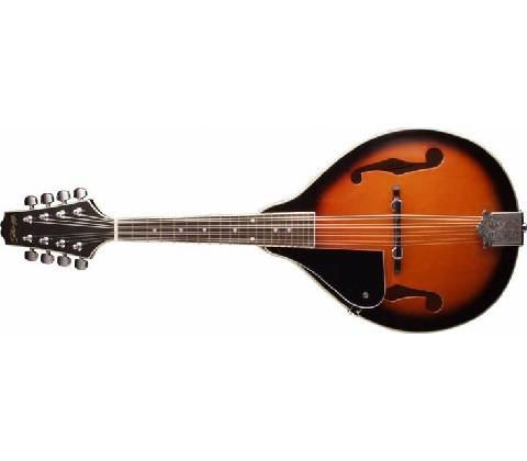 Stagg M20 LH