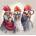Norimpex - Puzzle Diamant painting: Hen in glasses 30x40cm - 1 - 39 piese