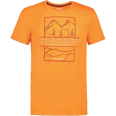 ICEPEAK Тениска beeville