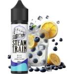 Steam Train Disposable Edition Blue Razz Lemonade 20ml/60ml