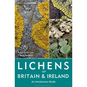 Lichens of Britain and Ireland | Frances Stoakley (ISBN: 9781399404747)