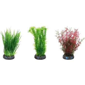 Flamingo Sri Lanka - Декоративно растение за аквариуми и терариуми, 11 см