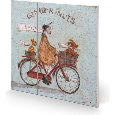 Obraz na dreve Sam Toft - Ginger Nuts, 30 × 30 cm