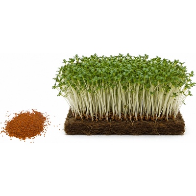Microgreens Řeřicha 100 g