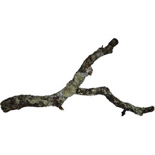 Hobby korková větev 90 cm